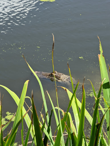 Country Club «West Fork Golf & Country Club», reviews and photos, 1 Golf Rdg, Conroe, TX 77304, USA