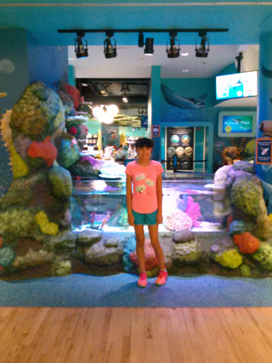 Aquarium «SEA LIFE Michigan Aquarium», reviews and photos, 4316 Baldwin Rd, Auburn Hills, MI 48326, USA