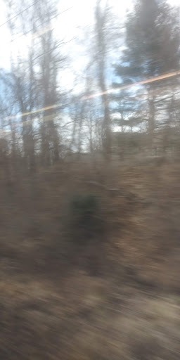 Park «Poricy Park Nature Center», reviews and photos, 345 Oak Hill Rd, Red Bank, NJ 07701, USA