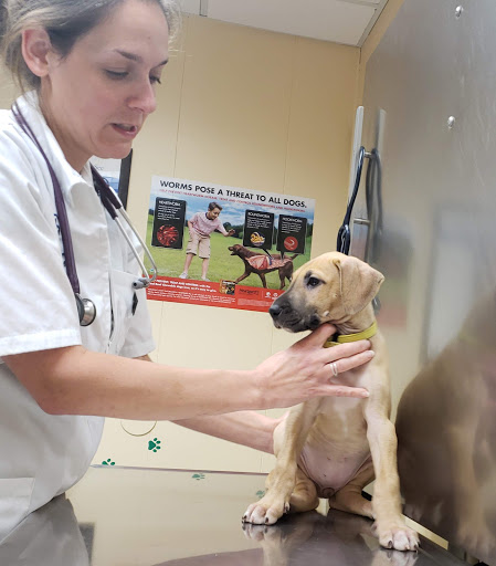 Churchville Veterinary Clinic