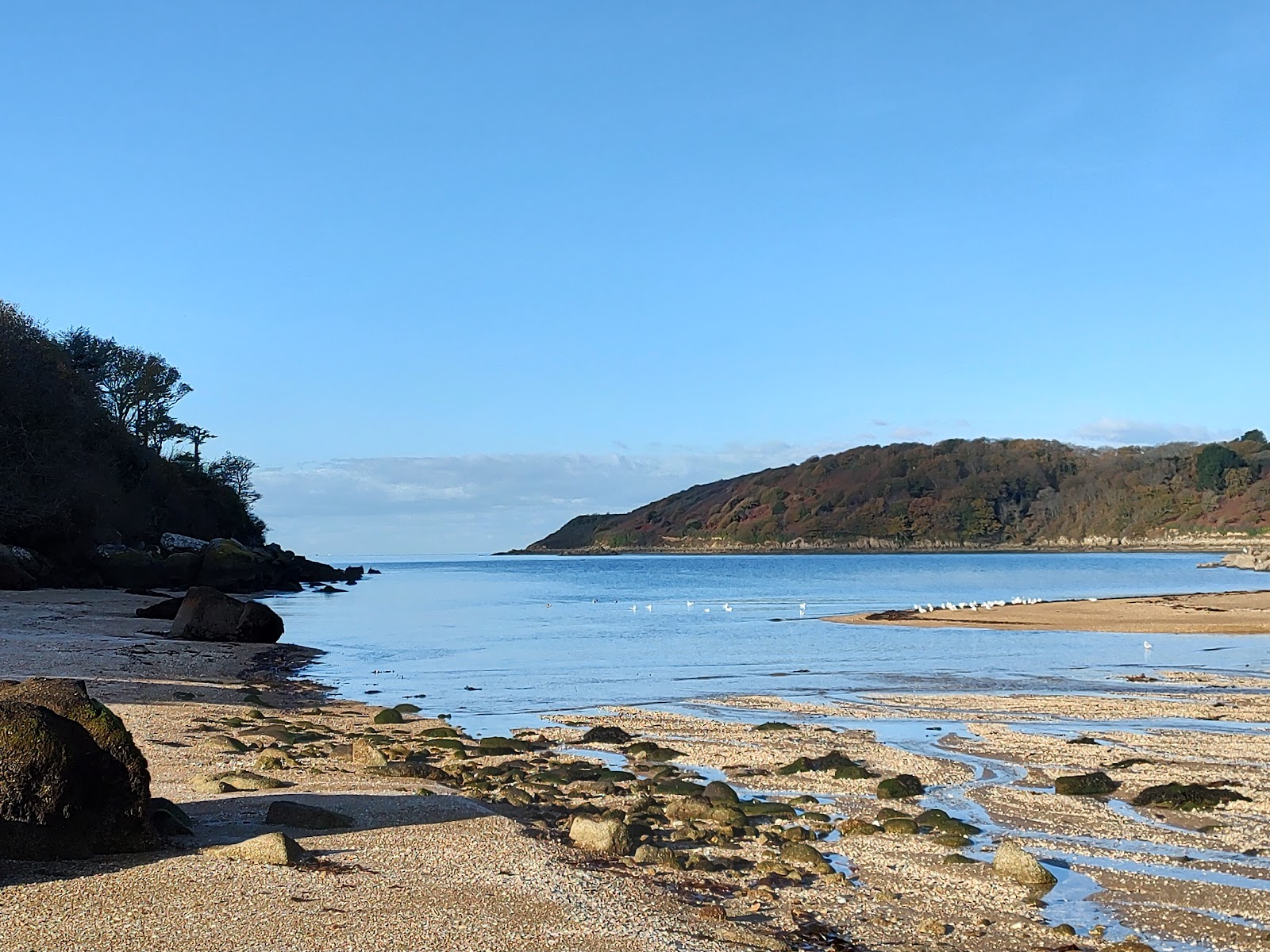 Foto de Plage enclavee área selvagem