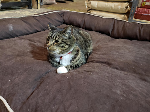 Pet Supply Store «Urban Tails Pet Supply», reviews and photos, 2106 Lyndale Ave S, Minneapolis, MN 55405, USA