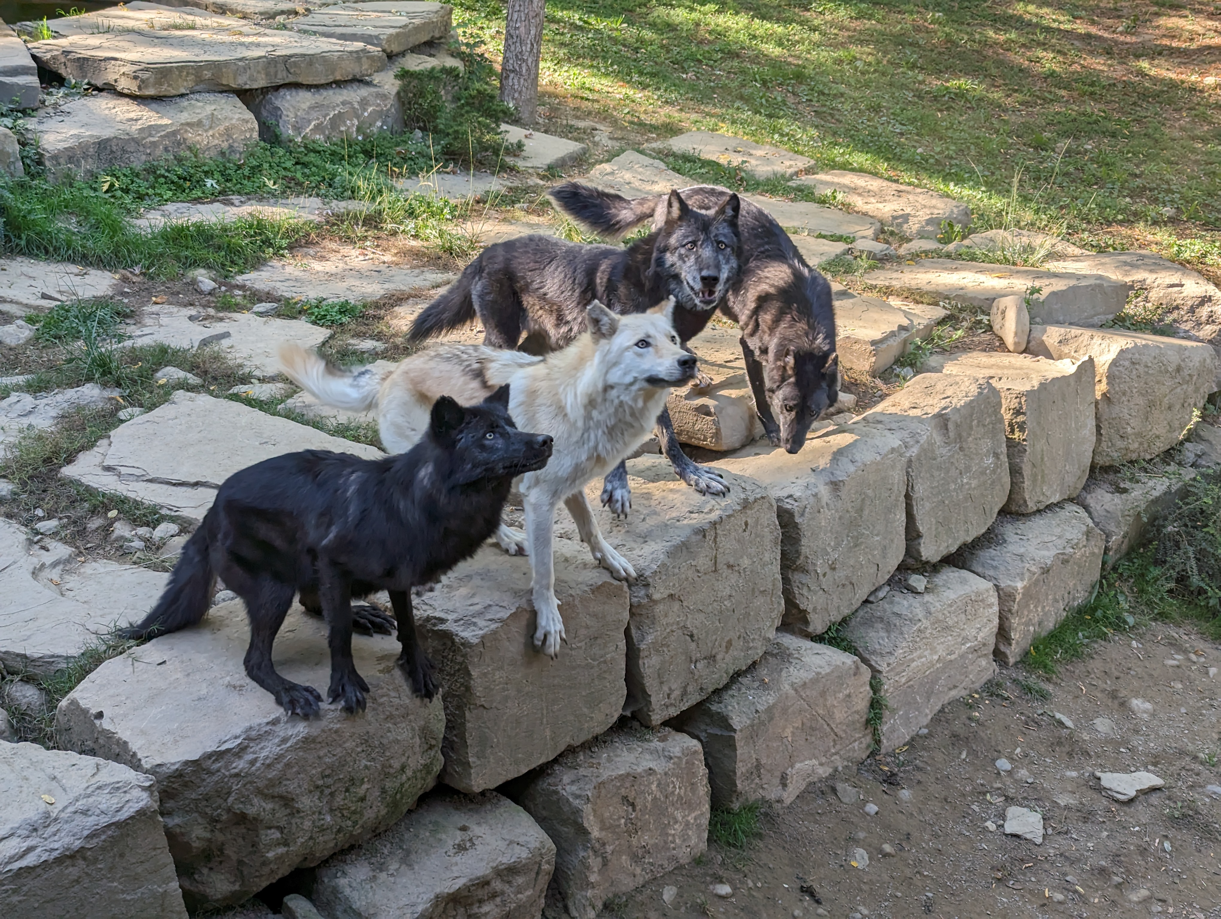 Photo n° 30 de l'avis de Thibaud.l fait le 10/10/2023 à 07:10