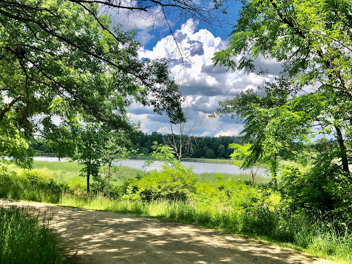Nature Preserve «McDonald Woods Forest Preserve», reviews and photos, 19611 W Grass Lake Rd, Lake Villa, IL 60046, USA