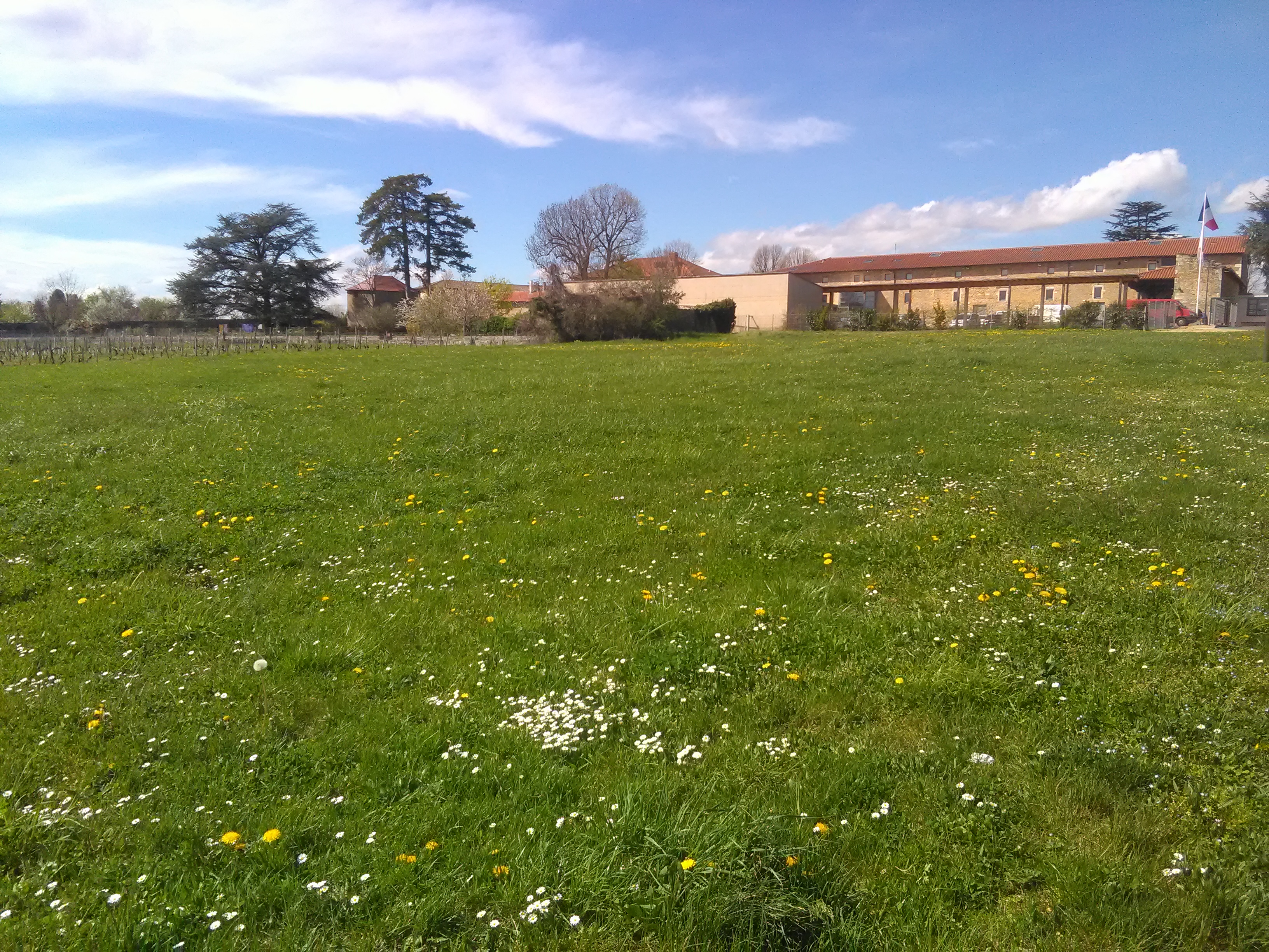 Photo n° 1 de l'avis de Matthieu.. fait le 12/04/2018 à 10:21