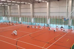 Sala Sporturilor Tomeşti image