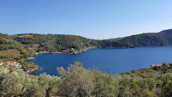 Photo de Tourkoneri beach avec un niveau de propreté de très propre