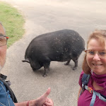 Photo n° 2 de l'avis de Stéphane.o fait le 26/05/2022 à 02:49 pour Sempé Jean-Claude à Lacarre