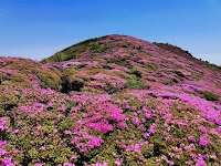 大戸越（うとんごし）