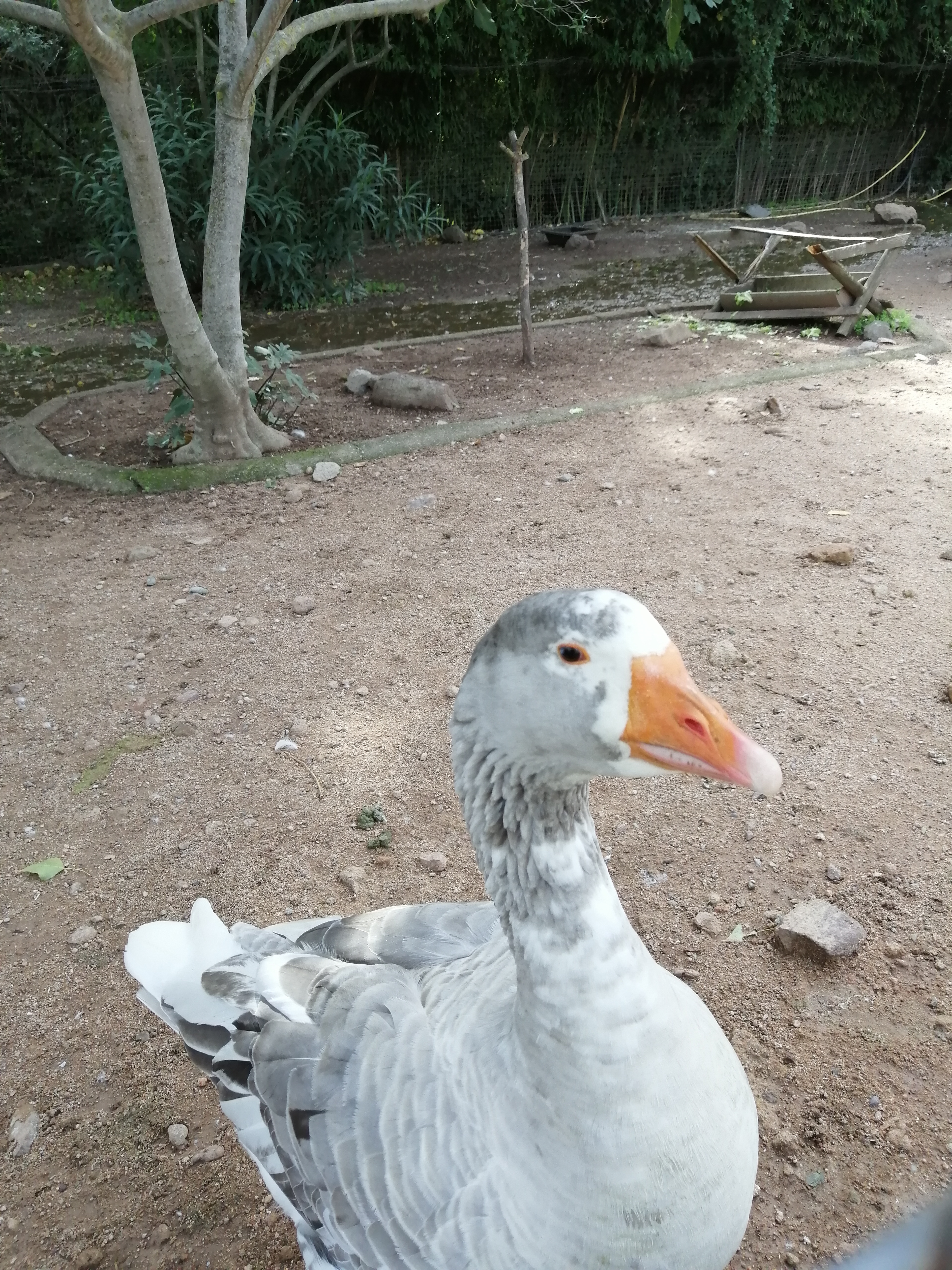 Photo n° 21 de l'avis de remy.e fait le 25/10/2019 à 16:38