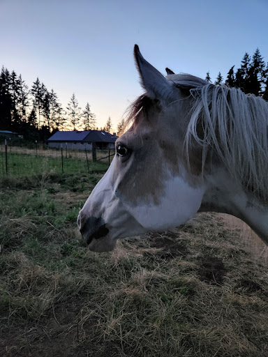 Tourist Attraction «Tollen Farm», reviews and photos, 11681 SW Tooze Rd, Wilsonville, OR 97070, USA