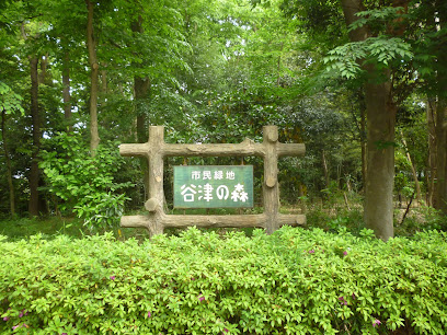 谷津の森公園
