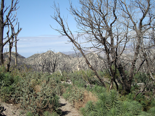 Observation Deck «Inspiration Point», reviews and photos, Echo Mountain (Mount Lowe Railroad Trail), Altadena, CA 91001, USA