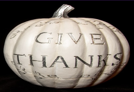 Bicycle Store «Trailhead Cycling», reviews and photos, 11350 Aquila Dr N, Champlin, MN 55316, USA