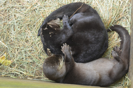 State Government Office «Wilmington State Parks», reviews and photos, 1021 W 18th St, Wilmington, DE 19802, USA