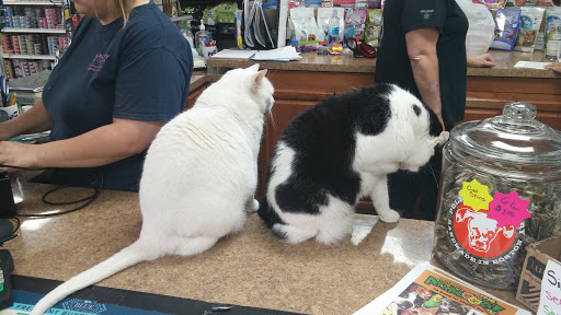 Pet Trainer «Healthy Pet Center», reviews and photos, 154 Delaware Ave, Delmar, NY 12054, USA