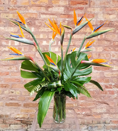 Florist «Henry Hampton Floral», reviews and photos, 1335 S State St, Chicago, IL 60605, USA