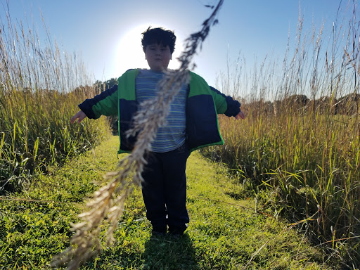 Recreation Center «Robert W. Rolek Community Center - Round Lake Area Park District», reviews and photos, 814 Hart Rd, Round Lake, IL 60073, USA