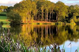 Lakedown Trout Fishery image