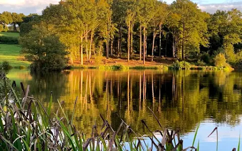 Lakedown Trout Fishery image