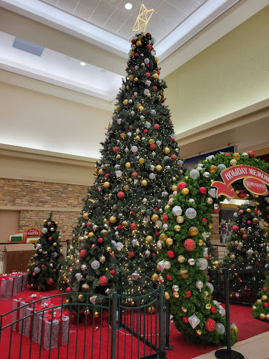 Shopping Mall «Brookfield Square», reviews and photos, 95 N Moorland Rd, Brookfield, WI 53005, USA