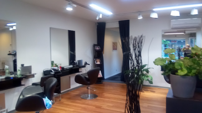 Guldsaksen - Frisør