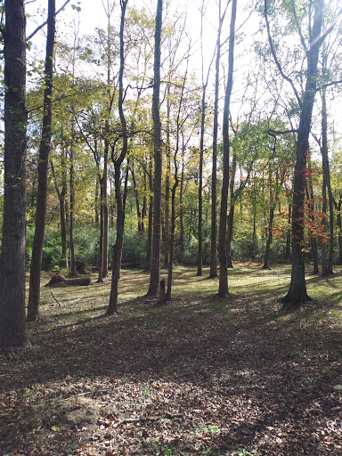 Park «Bouldercrest Park», reviews and photos, 4184 Bouldercrest Park Rd, Ellenwood, GA 30294, USA