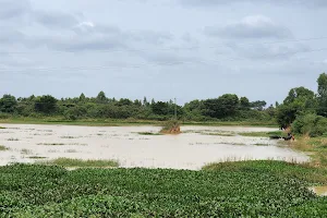 Narayanakere Lake image