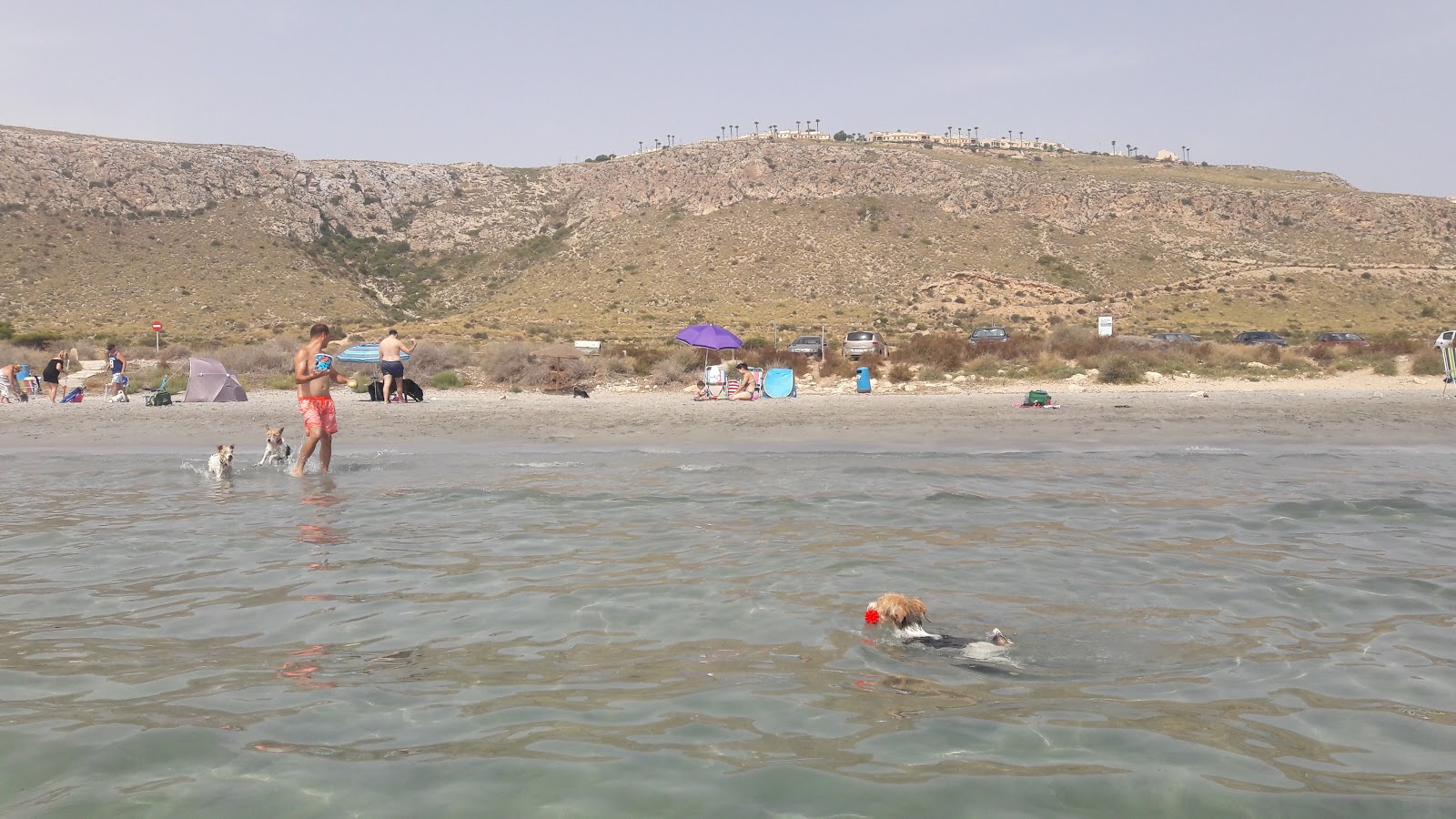Santa Pola dog beach的照片 具有部分干净级别的清洁度