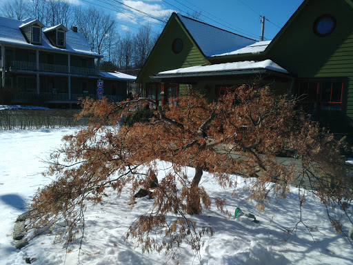 Florist «Green Cottage», reviews and photos, 1204 NY-213, High Falls, NY 12440, USA