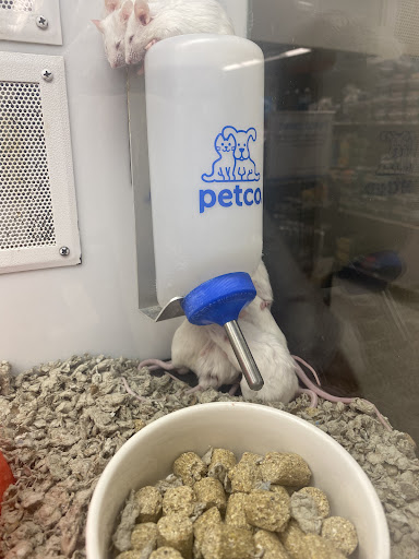 Pet Supply Store «Petco Animal Supplies», reviews and photos, 1090 Fort Union Blvd, Midvale, UT 84047, USA