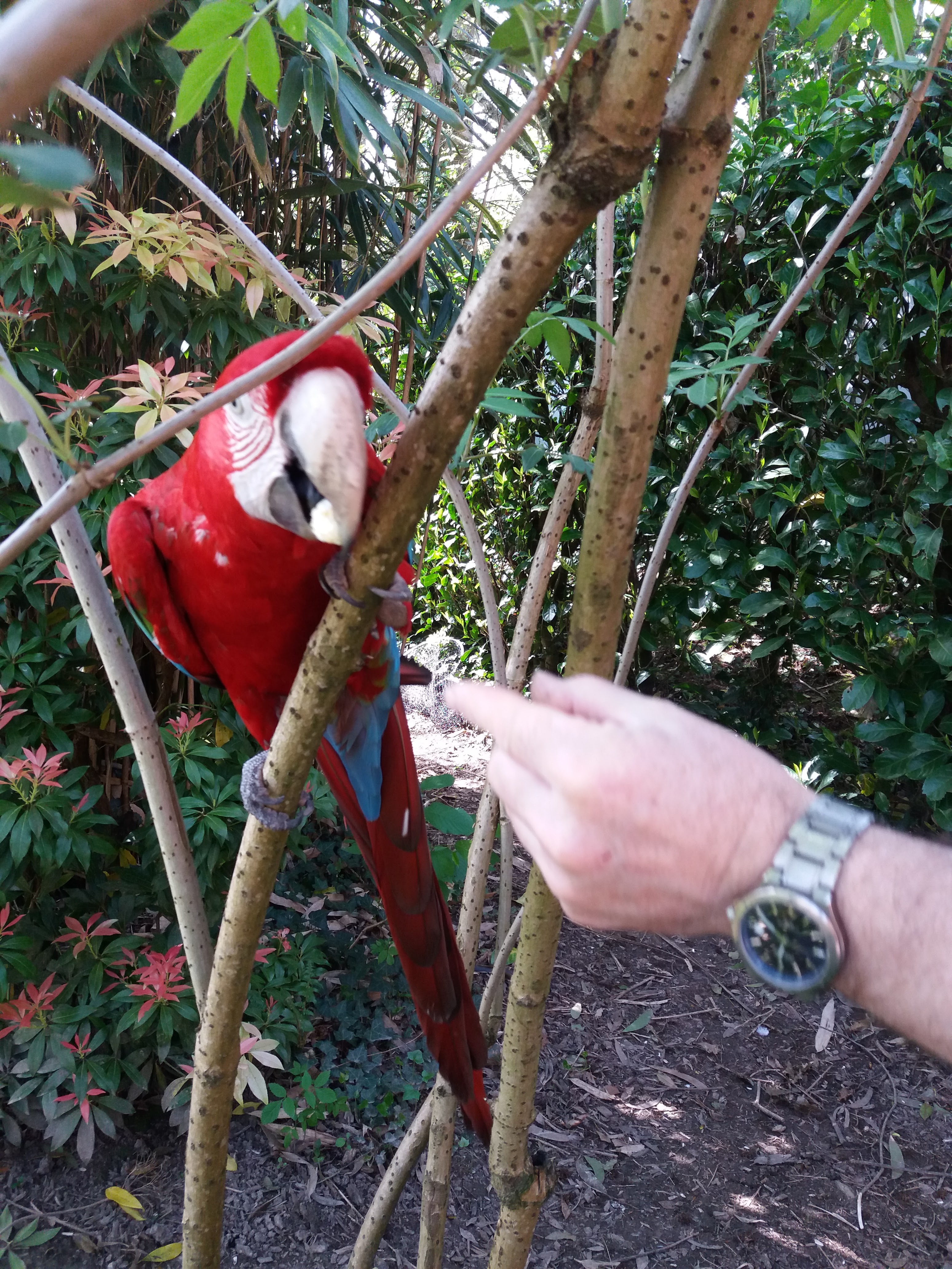 Photo n° 4 de l'avis de Mira.o fait le 22/04/2018 à 15:53