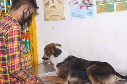 All About Animals-Best/Veterinary Hospital/Pet Clinic in Patiala