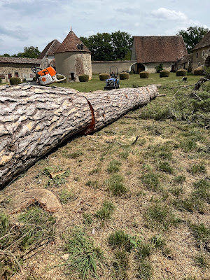 Arbo'Ju Élagueur / Arboriste grimpeur à Vailly-sur-Sauldre
