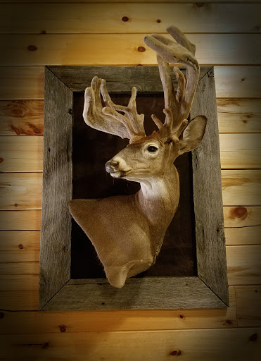 Taxidermist «HighPoint Taxidermy And Outfutters», reviews and photos, 14860 OH-13, Thornville, OH 43076, USA