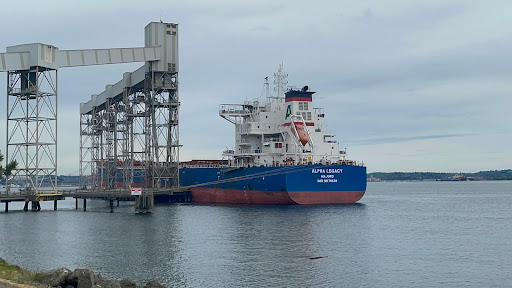 Park «Centennial Park», reviews and photos, 2500 West End Ave, Nashville, TN 37203, USA