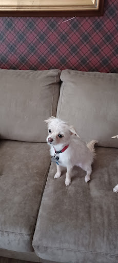 Pet Supply Store «Petco Animal Supplies», reviews and photos, 4450 Commercial St SE #150, Salem, OR 97301, USA