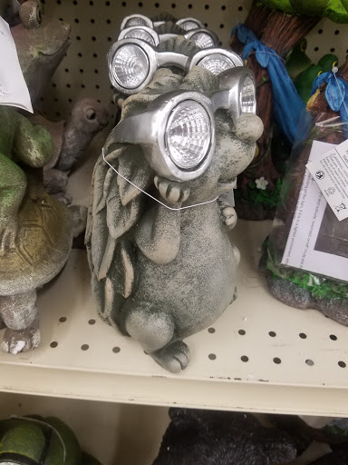 Discount Store «Big Lots», reviews and photos, 8125 Sheridan Blvd, Arvada, CO 80003, USA