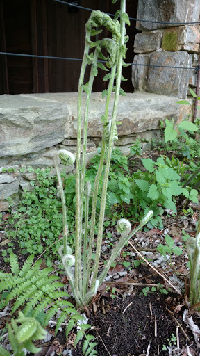 Nature Preserve «Ashland Nature Center of Delaware Nature Society», reviews and photos, 3511 Barley Mill Rd, Hockessin, DE 19707, USA