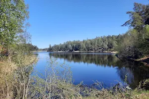 Ösbyträsk Nature Reserve image