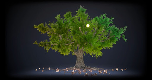 9080 Harry Hines Blvd #220, Dallas, TX 75235, USA