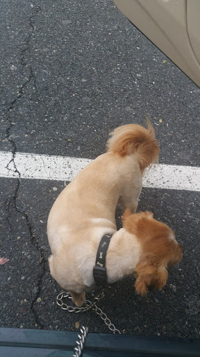 Pet Supply Store «Petco Animal Supplies», reviews and photos, 141 Tuckahoe Rd #130, Sewell, NJ 08080, USA