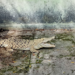 Taman Buaya Tanjung Pasir