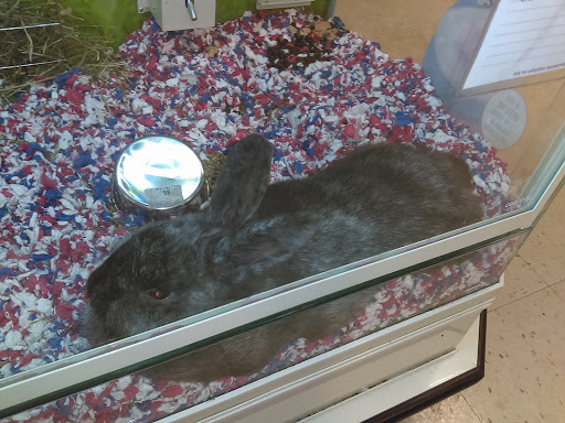 Pet Supply Store «PetSmart», reviews and photos, 278 New Britain Ave, Plainville, CT 06062, USA