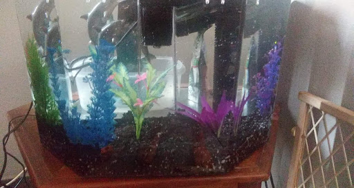 Pet Supply Store «Petco Animal Supplies», reviews and photos, 2901 32nd Ave S, Grand Forks, ND 58201, USA