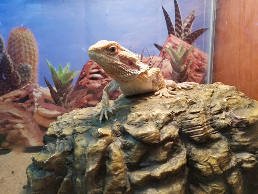 Pet Store «Slither & Swim», reviews and photos, 38 Saw Mill Rd # 16, West Haven, CT 06516, USA