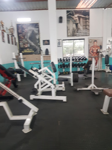 Alisther Muscle Gym