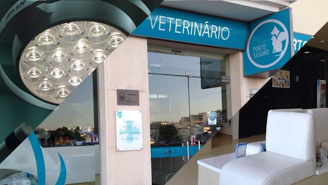 Centro Veterinario Porto Seguro, Lda