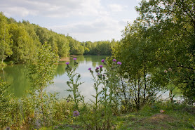 Swanwick Lakes Nature Reserve