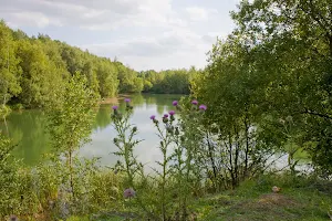 Swanwick Lakes Nature Reserve image